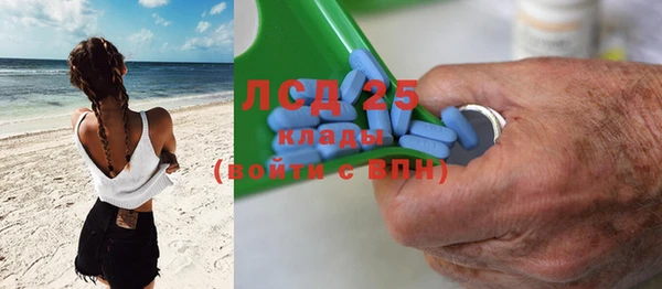 шишки Каменка