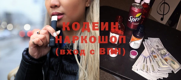индика Каменногорск