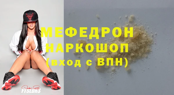 индика Каменногорск
