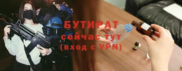 индика Каменногорск