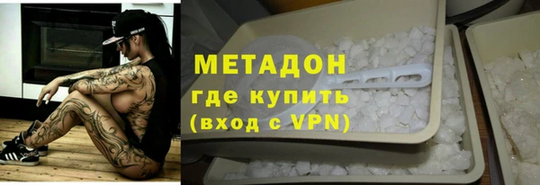 индика Каменногорск