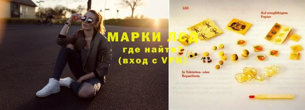 индика Каменногорск