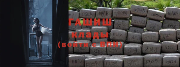 шишки Каменка