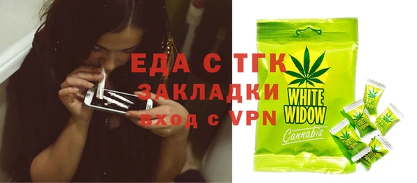 шишки Каменка