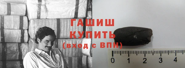 индика Каменногорск