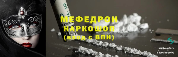 индика Каменногорск