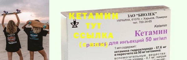 индика Каменногорск
