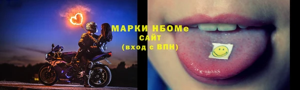 шишки Каменка
