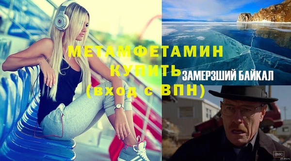 индика Каменногорск
