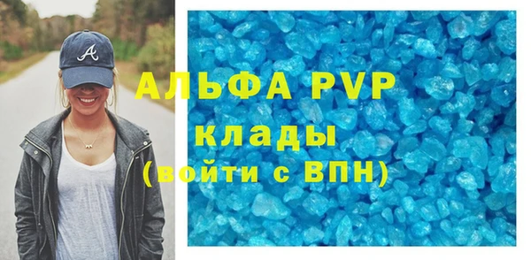 индика Каменногорск