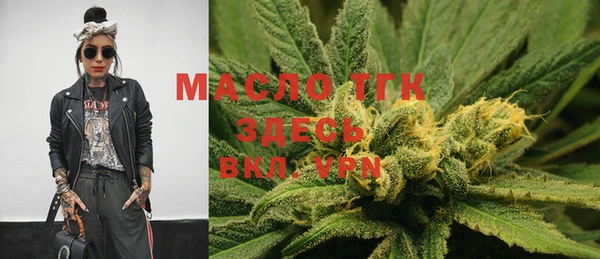 индика Ижевск