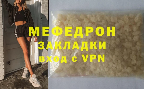 индика Каменногорск