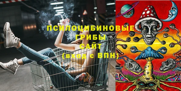 шишки Каменка