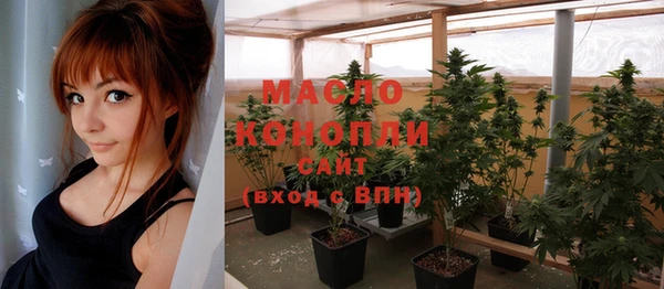 индика Каменногорск