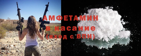 шишки Каменка