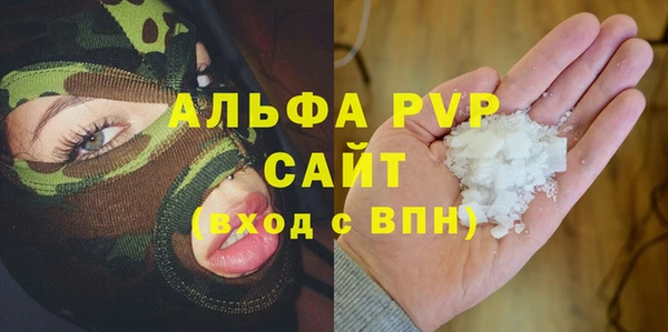 индика Каменногорск
