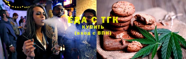 индика Каменногорск