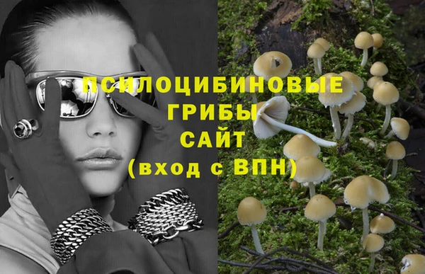 шишки Каменка