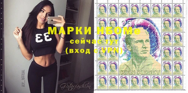 шишки Каменка