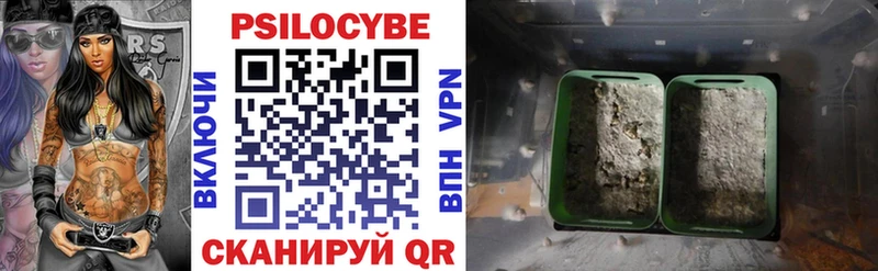 где купить наркоту  Махачкала  Галлюциногенные грибы Psilocybe 