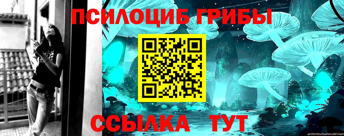 Псилоцибиновые грибы мухоморы  Галлюциногенные грибы ЛСД  Махачкала  Вход с VPN 